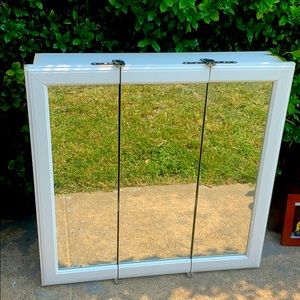 Restroom mirror/storage